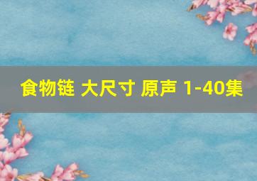 食物链 大尺寸 原声 1-40集